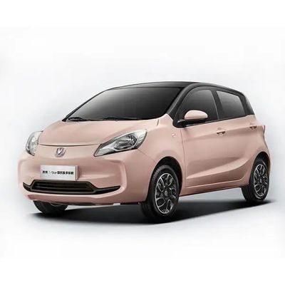 55kW 고속 전기차, 주행거리가 301km, 크기가 3770*1650*1570mm